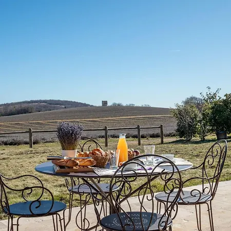 Large For Rent In Provence Lavande Et Merveilles * Saint-Saturnin-les-Apt