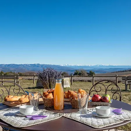 Large For Rent In Provence Lavande Et Merveilles * Saint-Saturnin-les-Apt